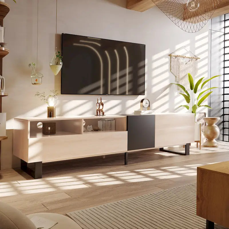 Modern TV Stand for 80 TV with Double Storage Space